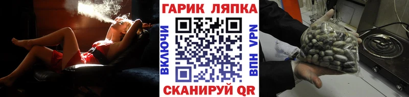 MEGA ONION  Кодинск  ГАШИШ Изолятор 