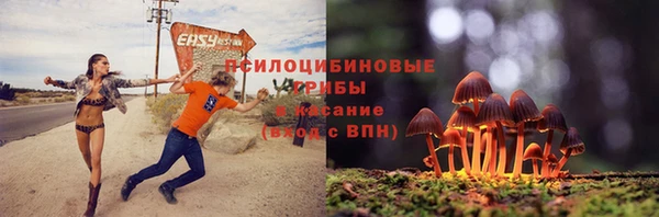 стаф Карталы