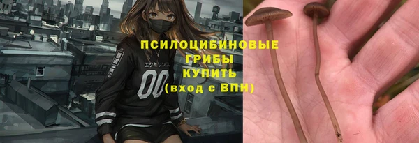 спайс Новозыбков