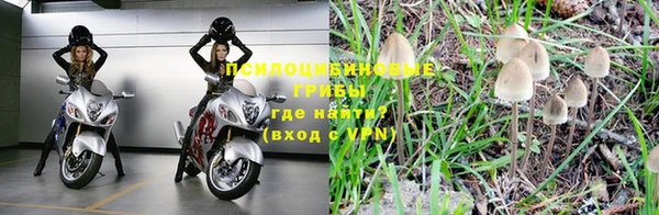 марки nbome Новокубанск
