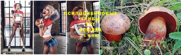 спайс Новозыбков